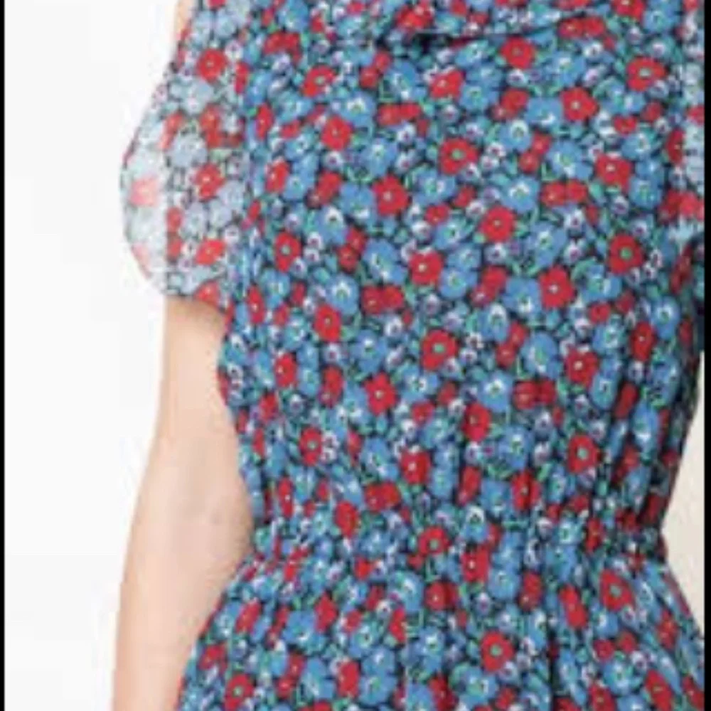NWT - Robert Rodriguez Juliette Floral Dress Size 4 - Picture 11 of 11